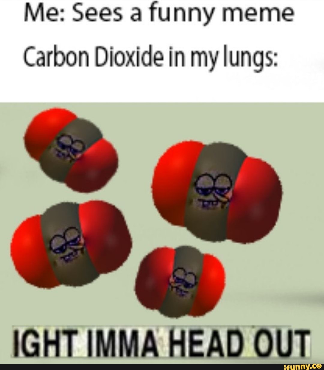 Me Sees A Funny Meme Carbon Dioxide In My Lungs Ight Imma Head