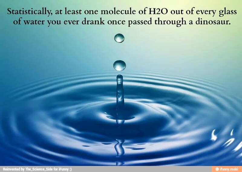 Statistically, at
least one
molecule of H2O out of
every glass
yf water you ever
drank once
passed through a
dinosaur.