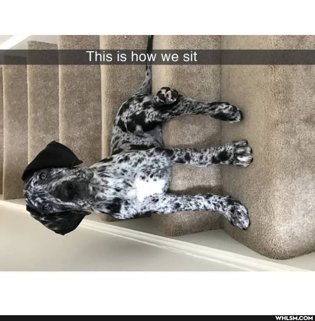 This is how we sit
Be