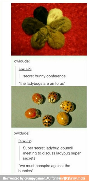 secret bunny conference
"the ladybugs are on to us"
Super secret ladybug council
meeting to discuss ladybug super
secrets
"we must conspire against the
bunnies"