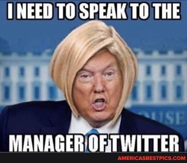 NEED TO SPEAK TO THE
AN
NANSGER OF TWITTER