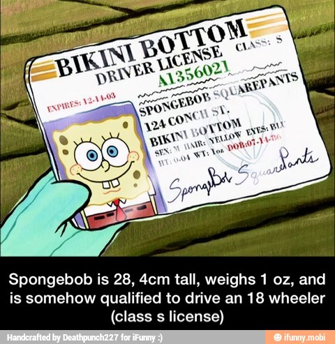 Spongebob is 28, 4cm tall, weighs 1 oz, and
is somehow qualified to drive an 18 wheeler
(class s license) - Spongebob is 28, 4cm tall, weighs 1 oz, and is somehow qualified to drive an 18 wheeler (class s license)