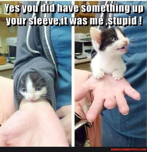 Yes you did have something un your sleeveli was me stunid !