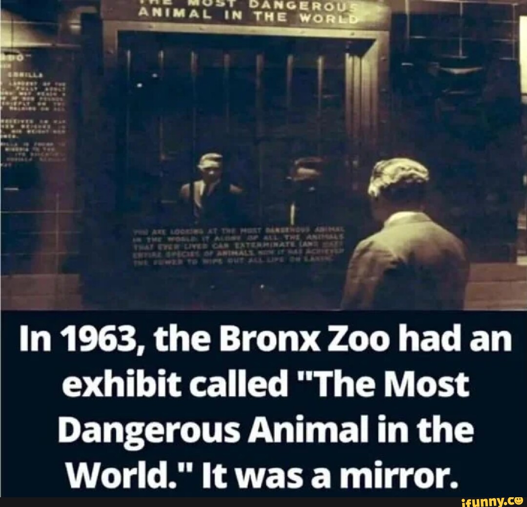 Wt BAG ANIMAL IN THE ww In 1963, the Bronx Zoo had an exhibit called ...