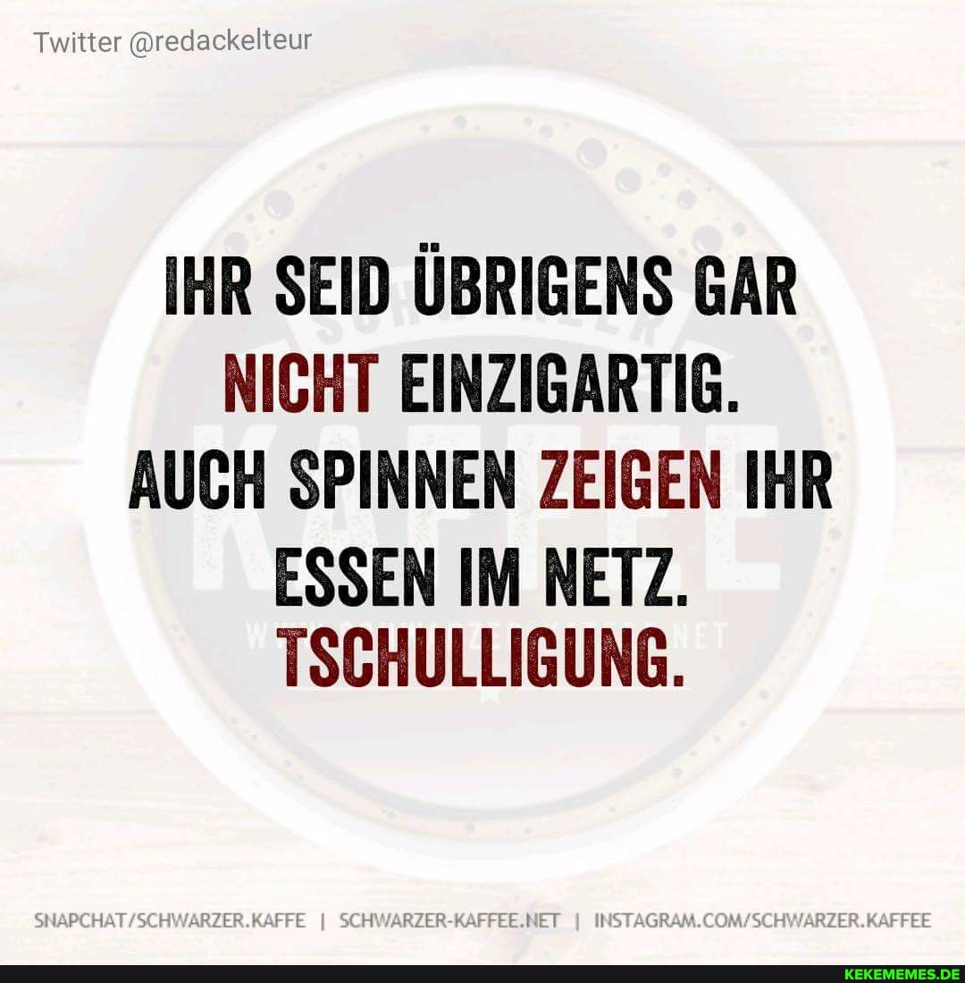 Twitter @redackelteur
IHR SEID ÜBRIGENS GAR NICHT EINZIGARTIG.
AUCH SPINNEN ZEIGEN IHR
ESSEN IM NETZ.
TSCHULLIGUNG.