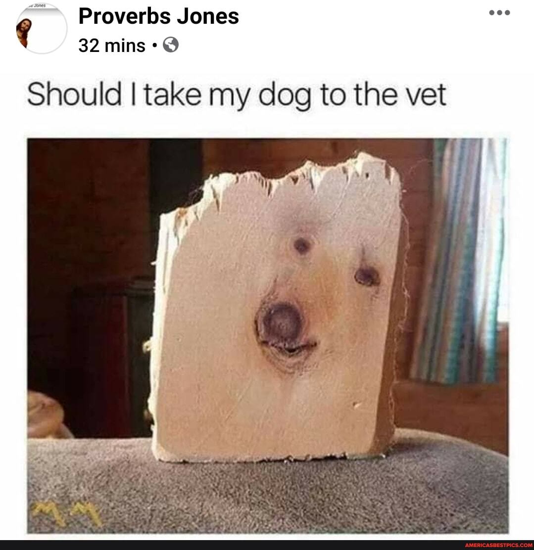 Proverbs Jones
32 mains
Should I take my dog to the vet