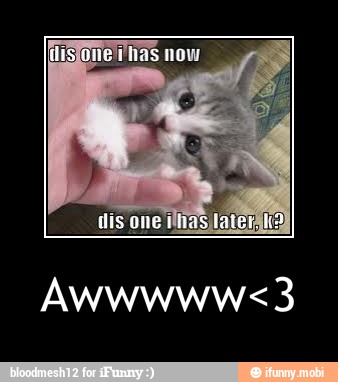 dis one ilhas laterdha) - Awwwww<3