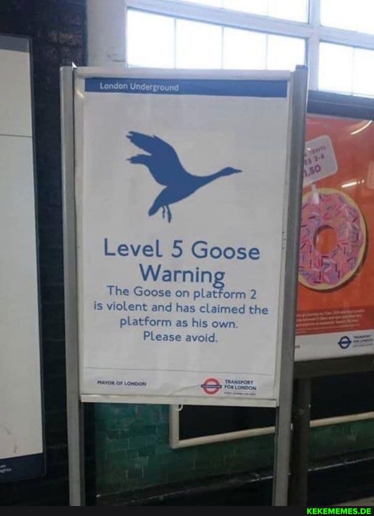 London Underground Level 5 Goose Warning tform 2 The Goose on pla is violent and