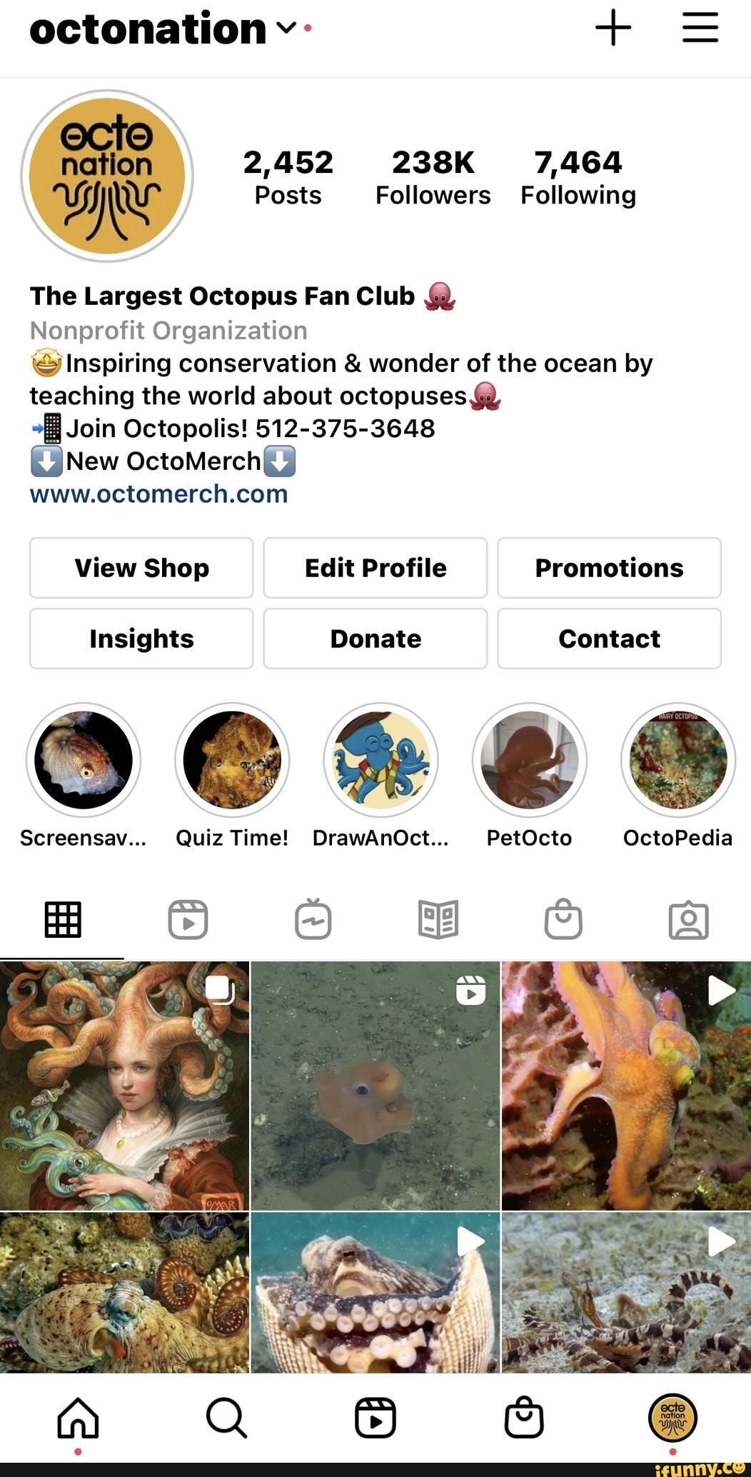 Joe Rogan talks about octopus and octonation! - octonation + nation ...