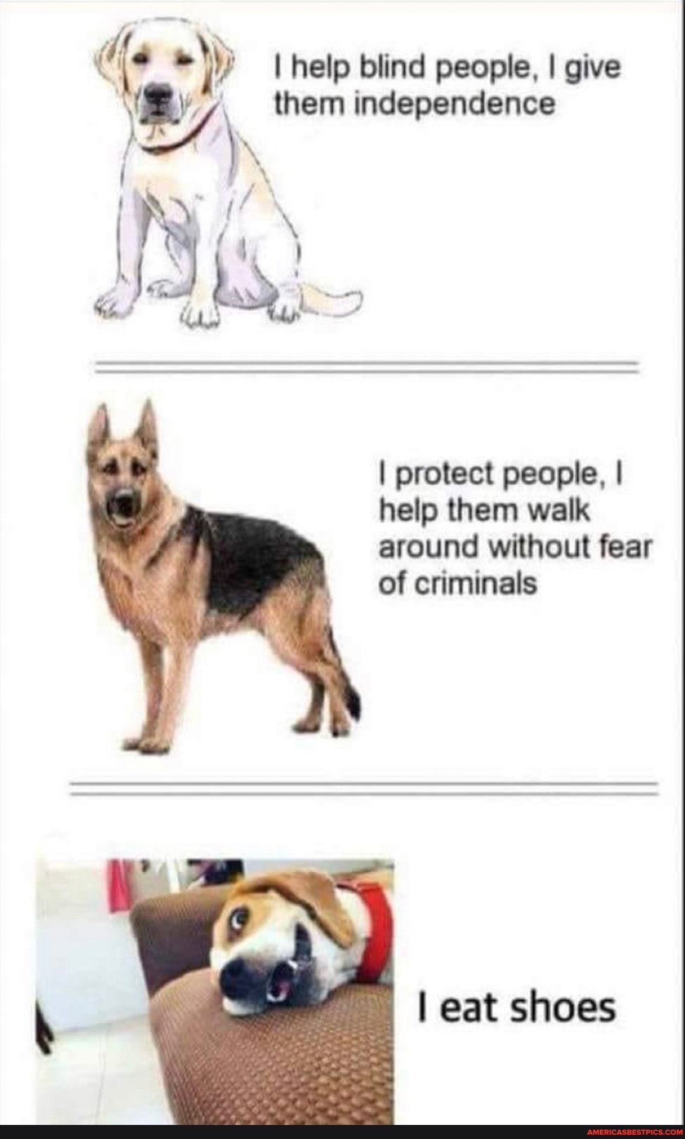 I help blind people, I give them independence
I protect people, I help them walk around without fear of criminals
I eat shoes
