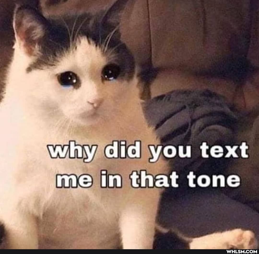 why did you text me in that tone