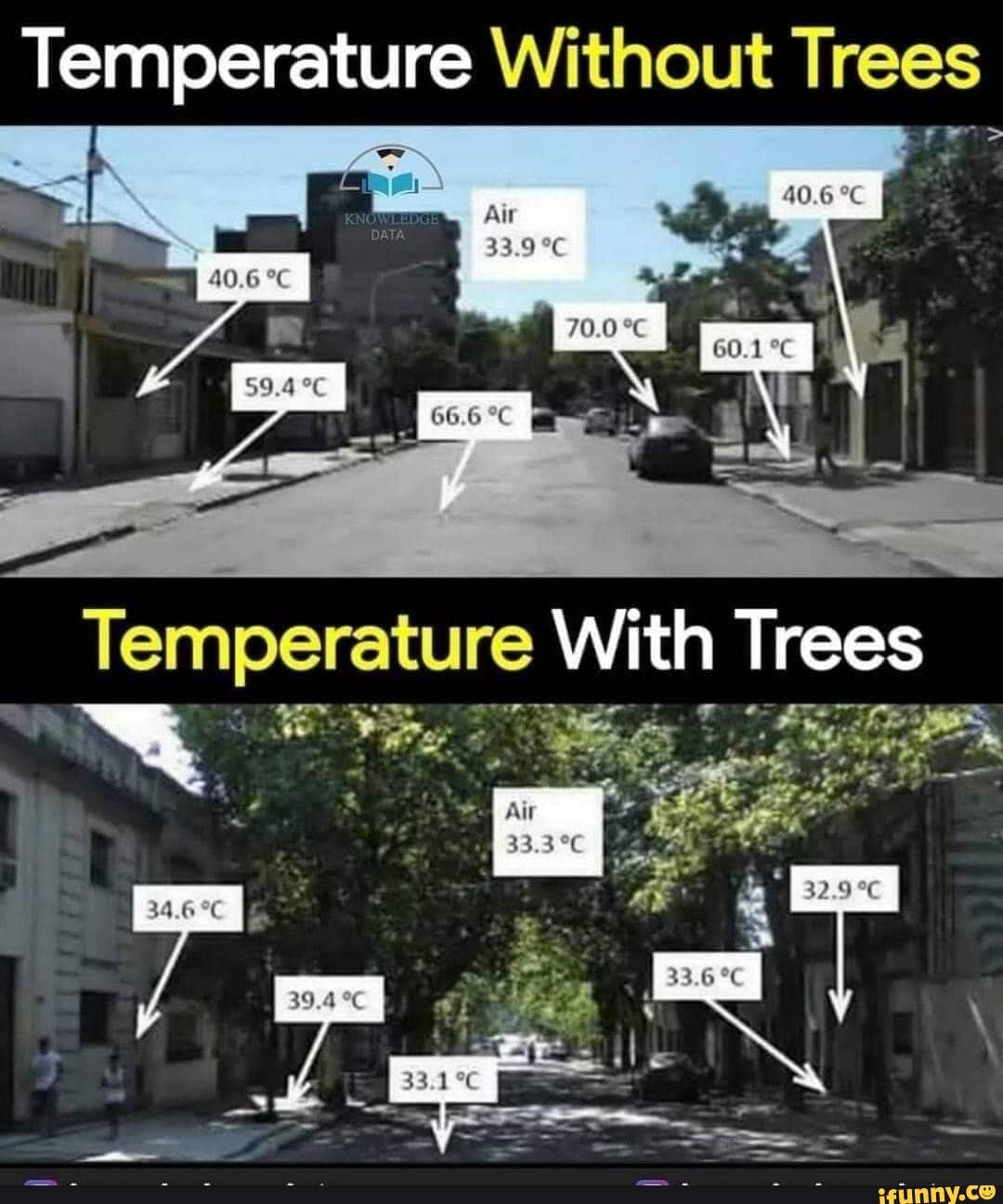 Temperature Without Trees lemperature With Trees - iFunny Brazil