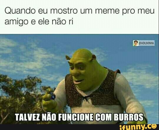 Quando eu mostro um meme pro meu
amigo e ele não ri
TALVEZ NÃO
FUNCIONECOM BURROS