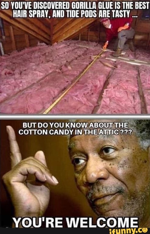 YOU'VE DISCOVERED GORILLA GLUE IS THE BEST HAIR SPRAY, AND TIDE PODS ARE TASTY
BUT DO YOU KNOW ABOUT THE COTTON CANDY IN THE ATTIC 777
YOU'RE WELCOME