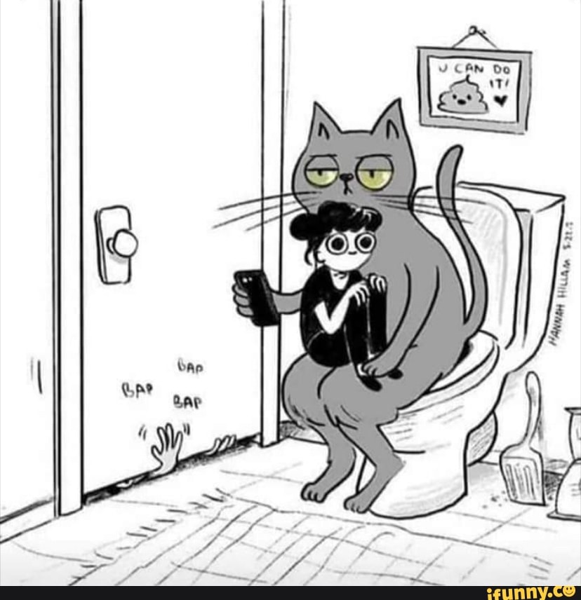 cats, spooky, cat_tax