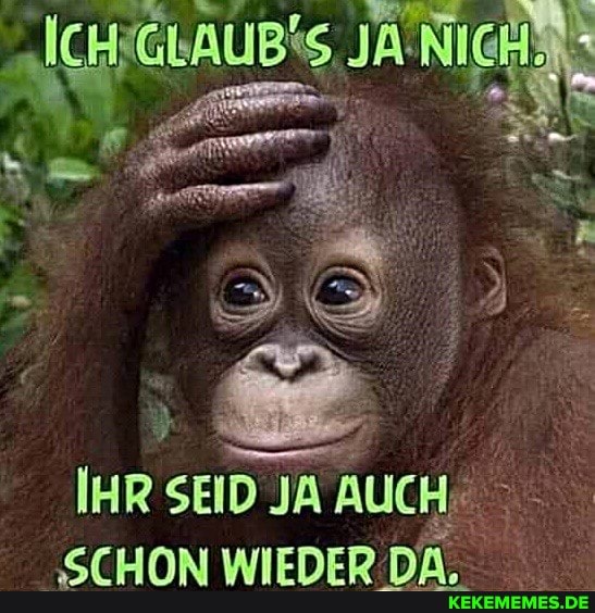jGLAUB'S JA Ni
IHR SEID JA AUCH-
ErLuImM UNENeD