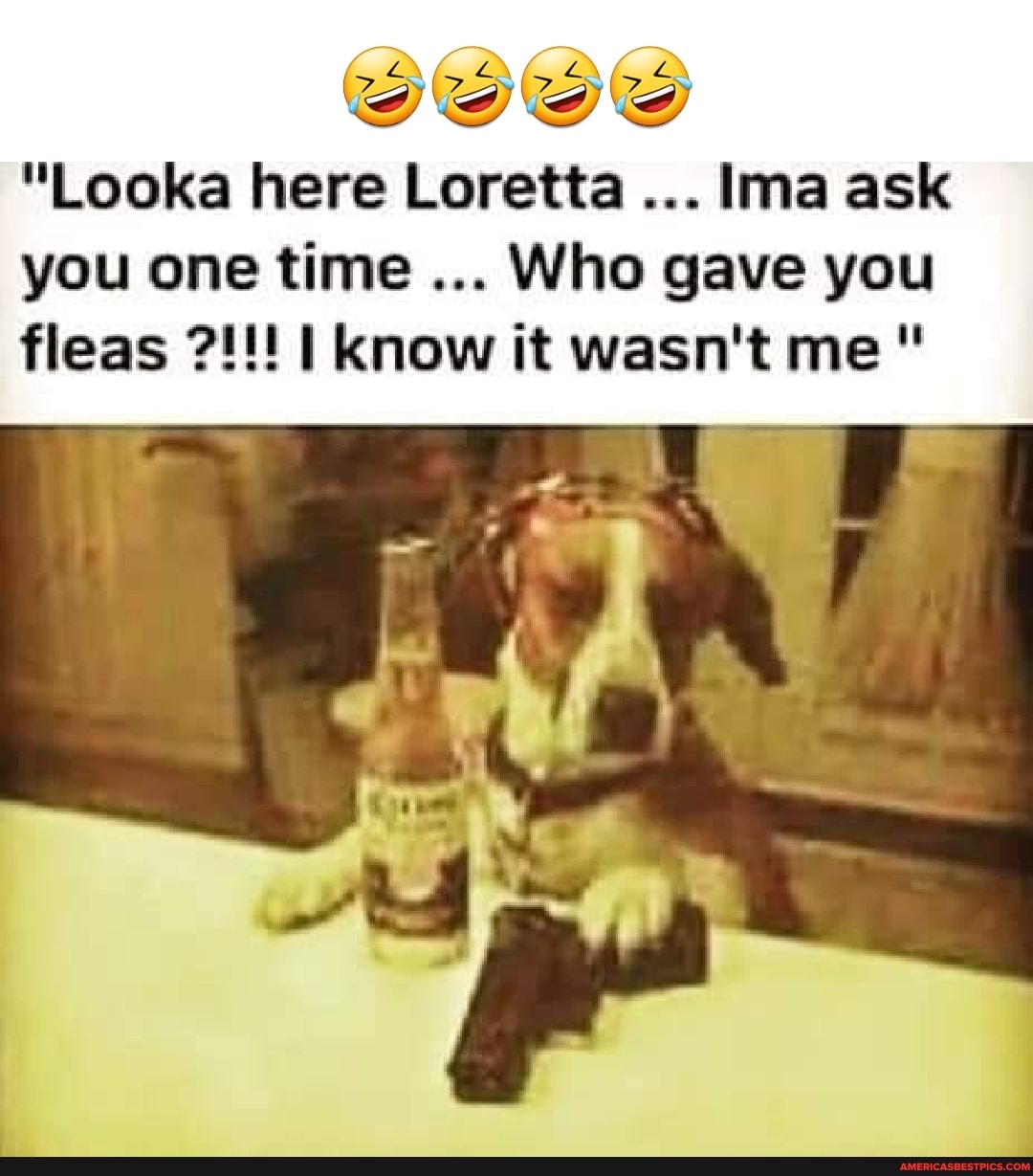 "Looka here Loretta lima ask you one time Who gave you fleas I know it wasn't me"