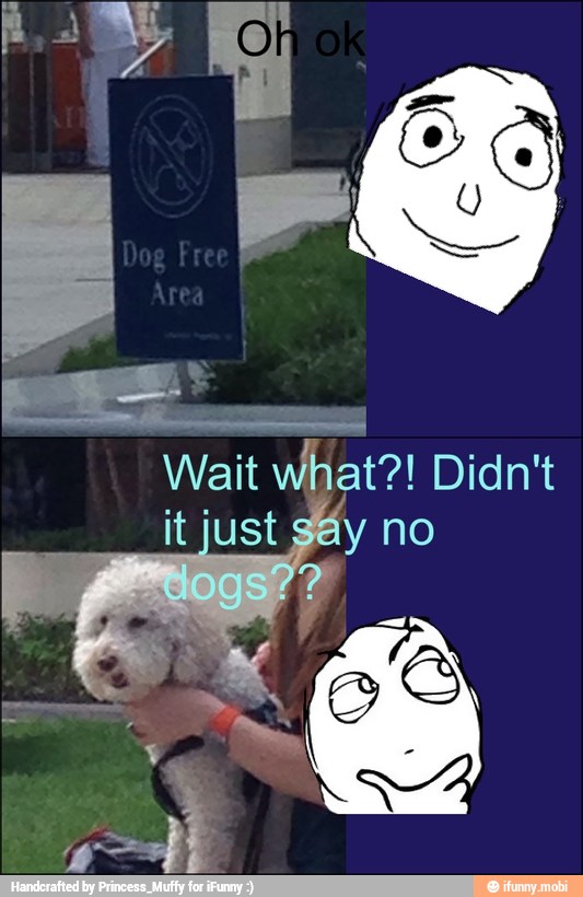 Wait what?! Didn't