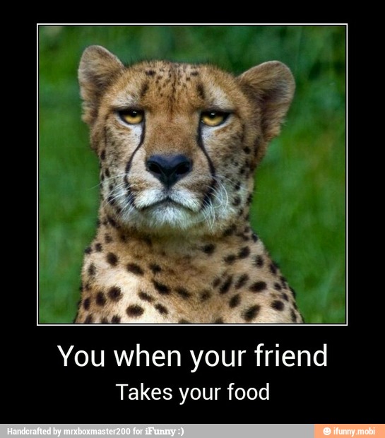 You when your friend
Takes your food - You when your friend
Takes your food