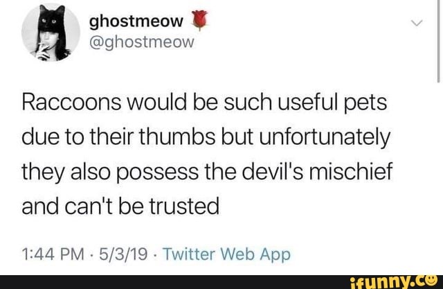 Raccoons would be such useful pets
due to their thumbs but unfortunately
they also possess the devil's mischief
and can't be trusted
1:44 PM
Twitter Web App