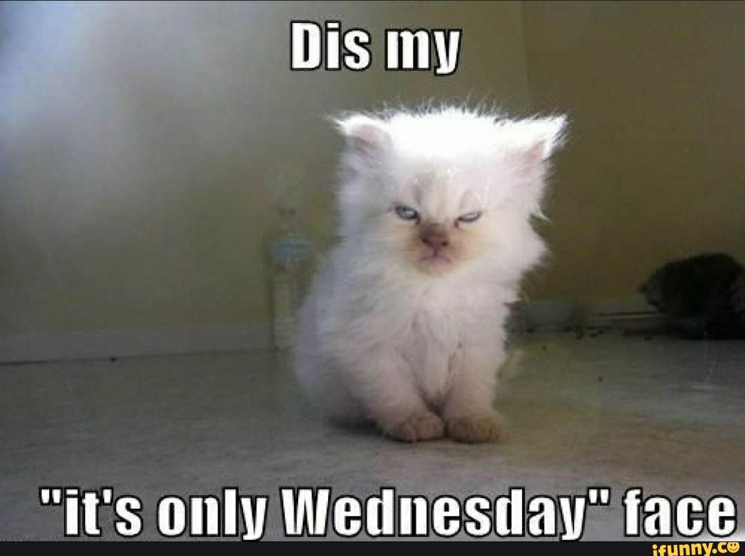 my
"its only Wednesdays ace