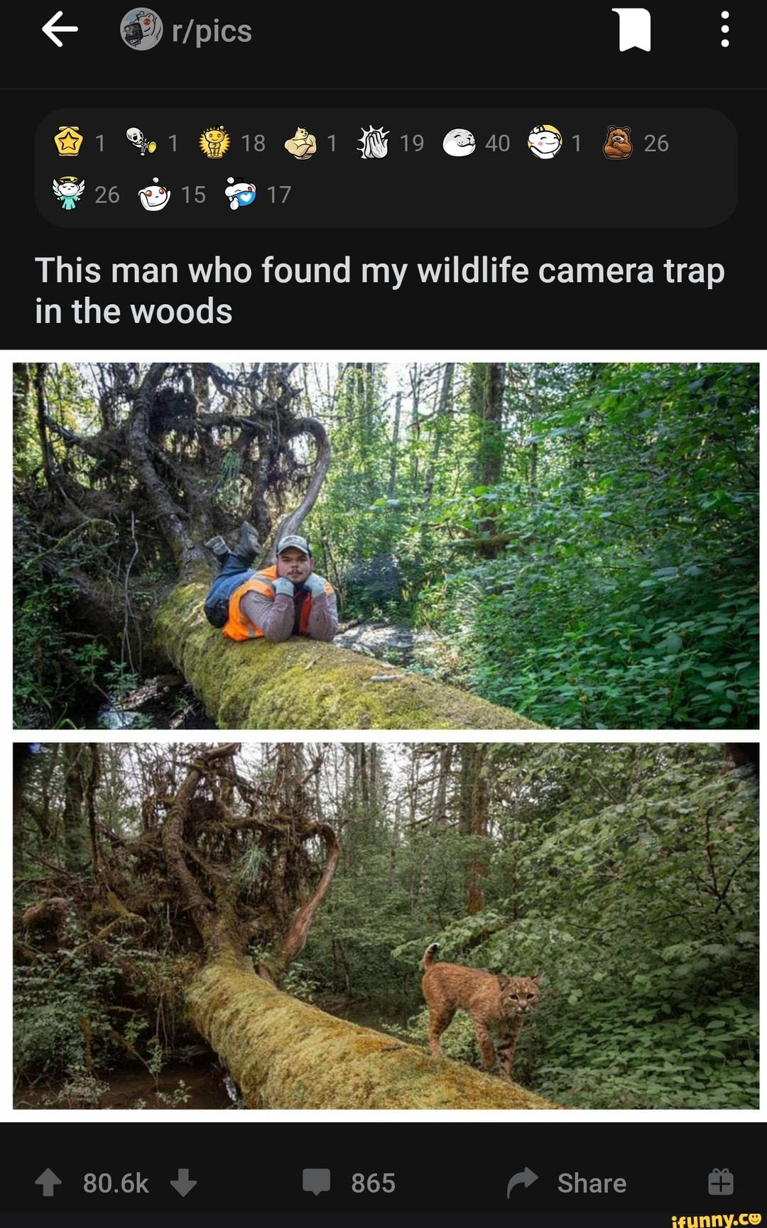 @i%: is Wis Sw Si Ar
26 @
This man who found my wildlife camera trap in the woods
80.6k 865 Share