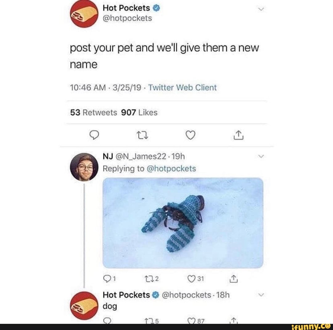 Hot Pockets
@hotpockets
post your pet and we'll give them a new name
AM - Twitter Web Client
Q tl
NJ @N_James22
Replying to @hotpockets
2 ty
Hot Pockets @ @hotpockets - dog
tt15 CC)