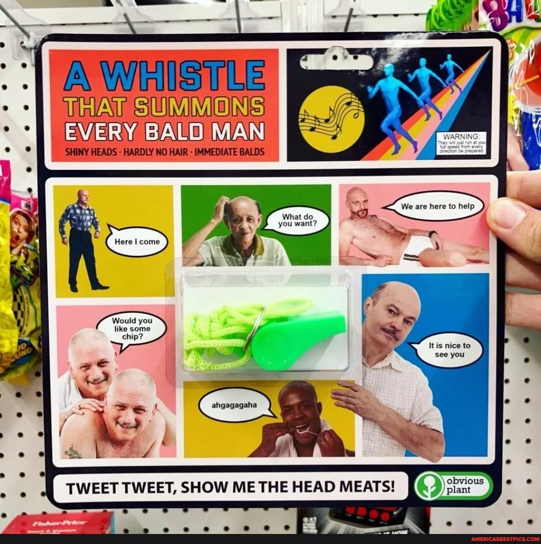A WIS Wille
THAT SUMMONS
EVERY BALD MAN
SHINY HEADS - HARDLY NO HAIR - IMMEDIATE BALDS
( Here! come
Would you like some chip?
TWEET TWEET, SHOW ME THE HEAD MEATS!