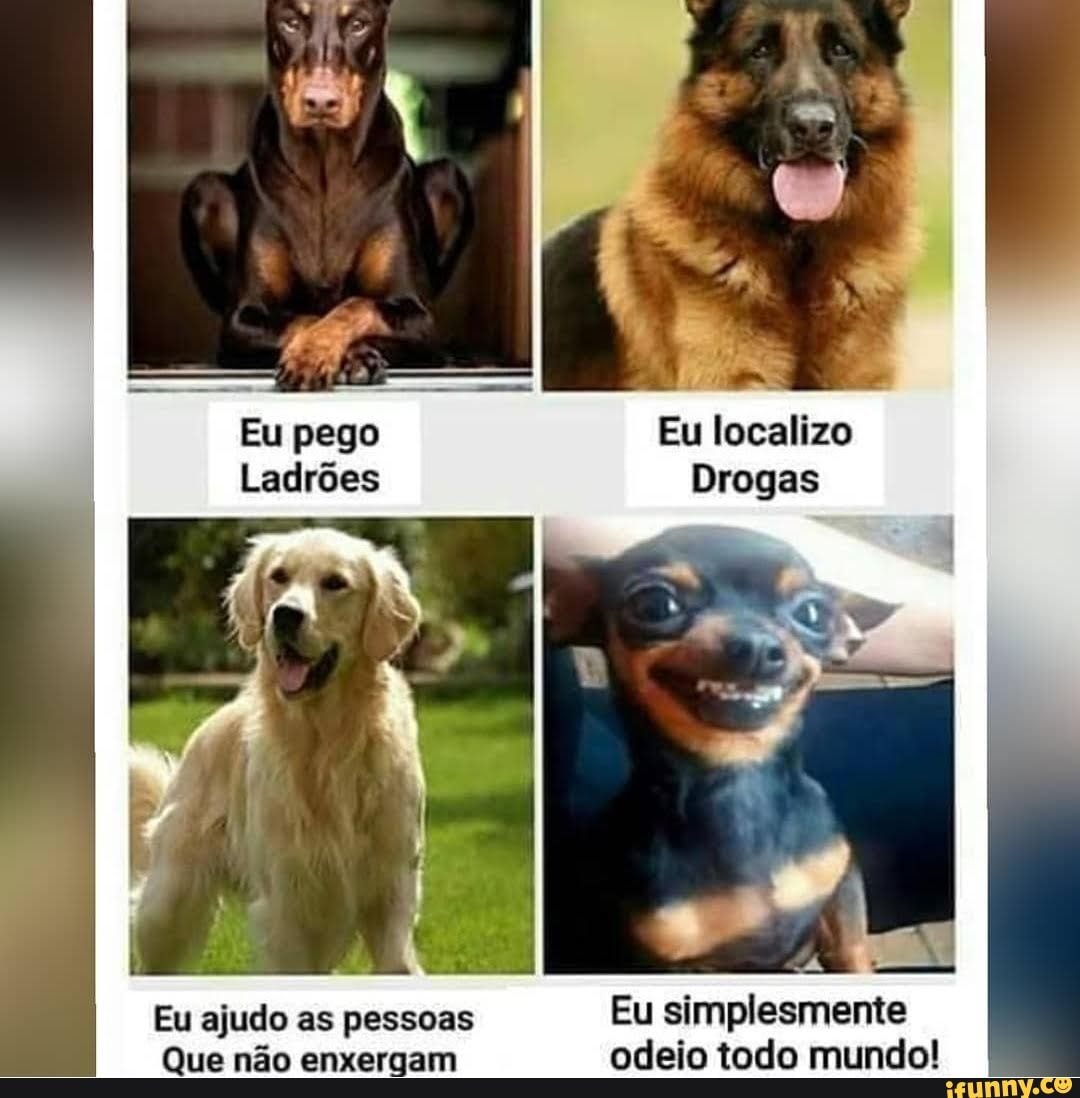 Eu ajudo as pessoas
Eu simplesmente
Que não enxergam
odeio todo mundo!