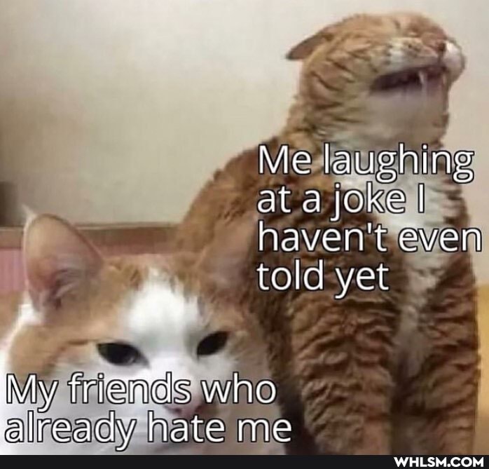 Me laughing ata joke I haven't even
told yet
iy frienttls who
Mlready hate me