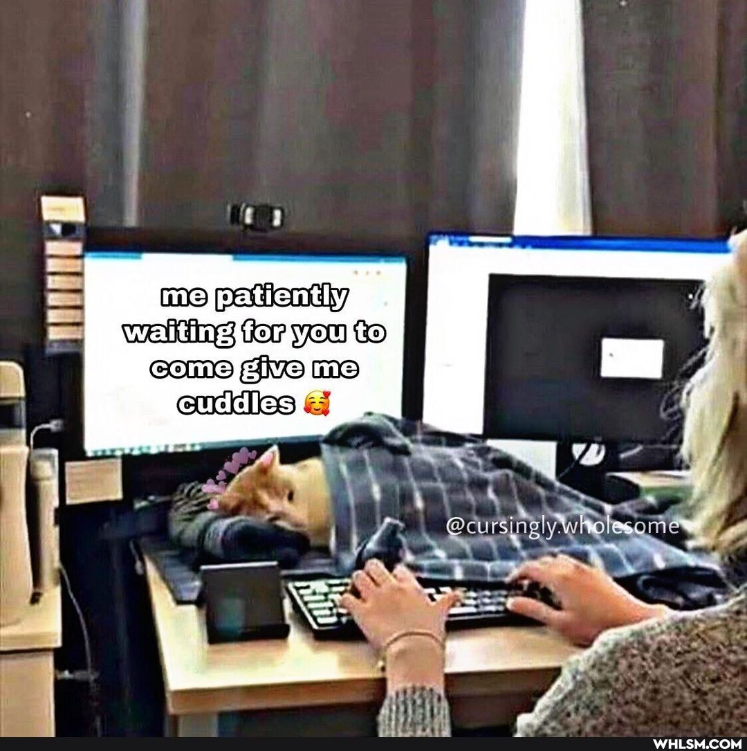 = me pationtly
Waiting tor you to
Come ive MS euddies