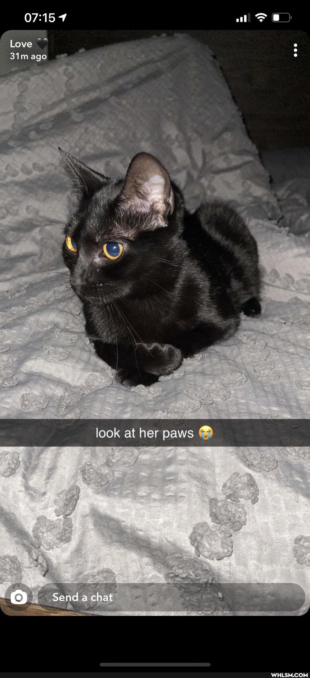 Love ago look at her paws
Send a chat