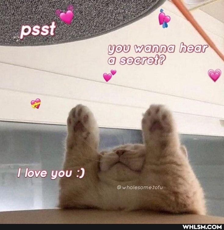 psst
you
you wanna hear a secret?