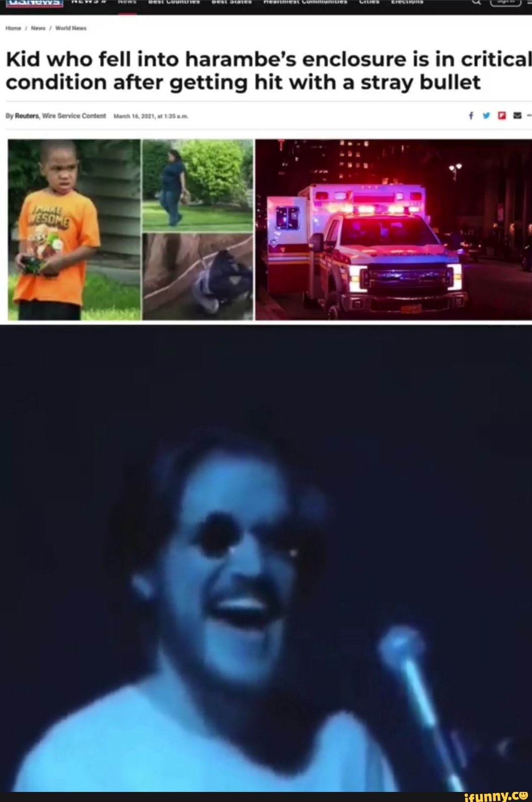 Kid Who Fell Into Harambe Enclosure Is In Critical Condition Kid who fell into harambe's enclosure is in critical condition after