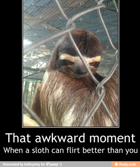 That awkward moment
When a sloth can flirt better than you