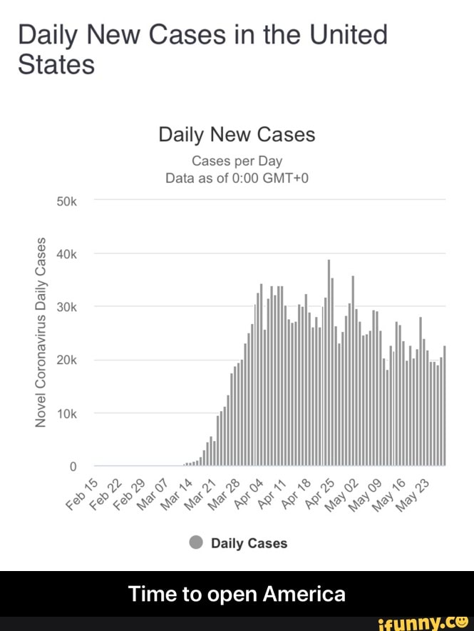 Daily New Cases in the United States Daily New Cases Cases per Day Data