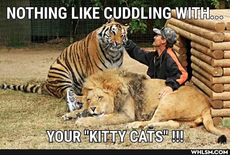 NOTHING LIKE CUDDLING WITH...
YOUR "KITTY CATS"