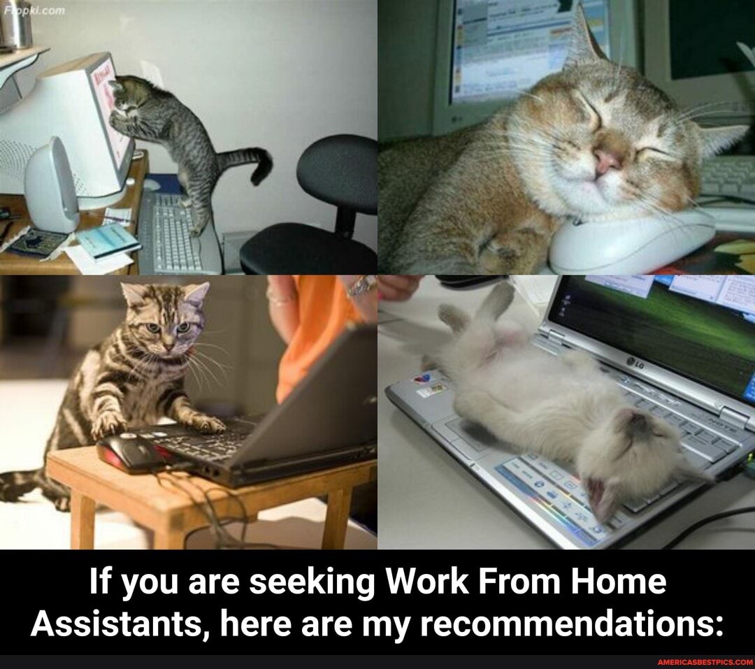If you are seeking Work From Home
Assistants, here are my recommendations: - If you are seeking Work From Home Assistants, here are my recommendations: