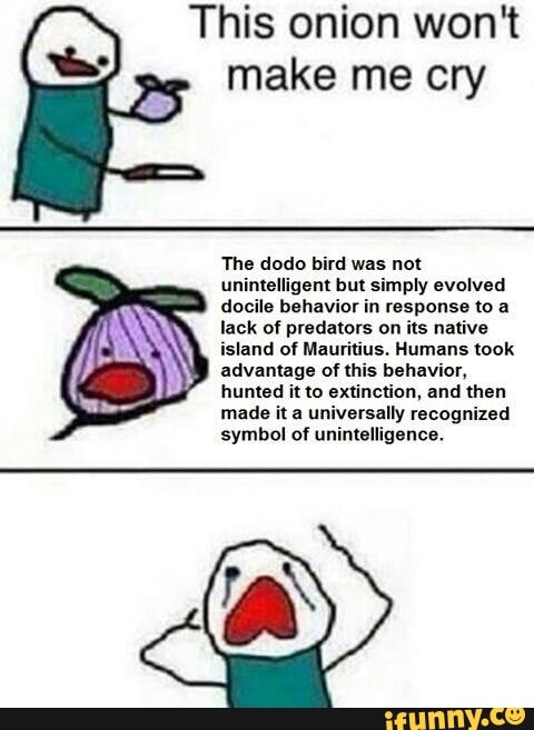 This Onion Wont Make Me Cry The Dodo Bird Was Not Uninlelligem But Simply Evolved Docile