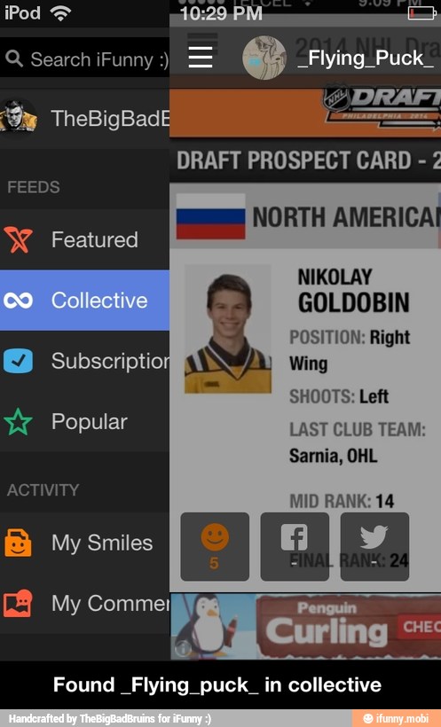 NIKOLAY
GOLDOBIN
Found Flying puck in collective - Found _Flying_puck_ in collective