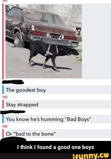 I The goodest boy
Me
I Stay strapped
I You know he's humming "Bad Boys"
Me
I Or "bad to the bone"
k I found a good one boys - I think I found a good one boys
