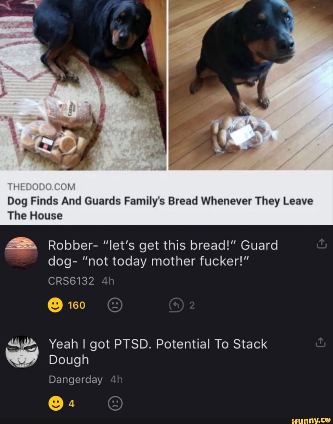 Dog Finds And Guards Family's Bread Whenever They Leave The House 48 ...