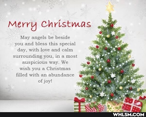 Merry Christmas
May angels be beside you and bless this special day, with love and calm surrounding you, in a most auspicious way. We wish you a Christmas filled with an abundance
of joy!