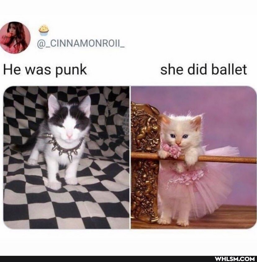 @_CINNAMONROII_
He was punk she did ballet