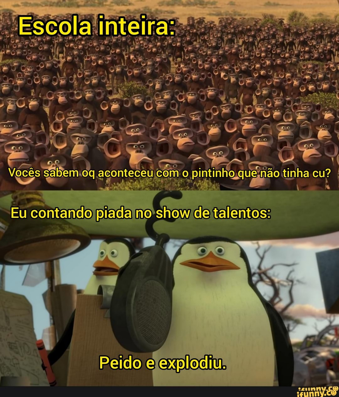 engraçado, pinguina, macacos, madasgacar