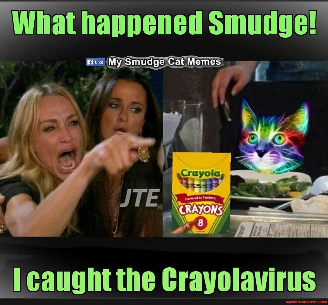 "What happened Smudge!"
Memes
STE
[caught the Gravolavirus