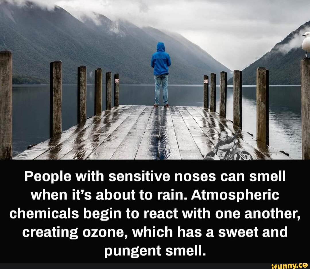 SS People with sensitive noses can smell when it's about to rain
