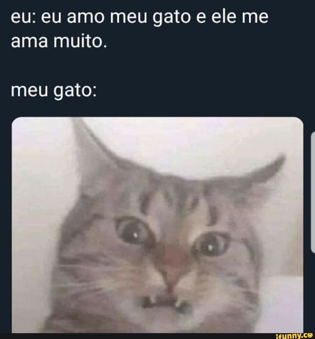 eu: eu amo meu gato e ele me
ama muito.
meu gato:
