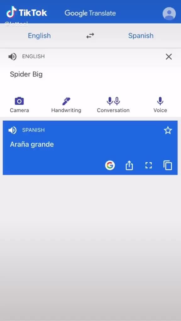 Camera Spanish Camera Google Translate / 3 Apps That