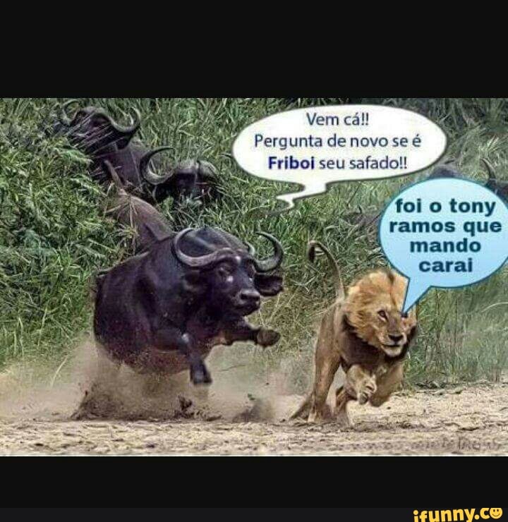 Pergunta denovo se é
Vfoi
o tony
I
ramos que
mando